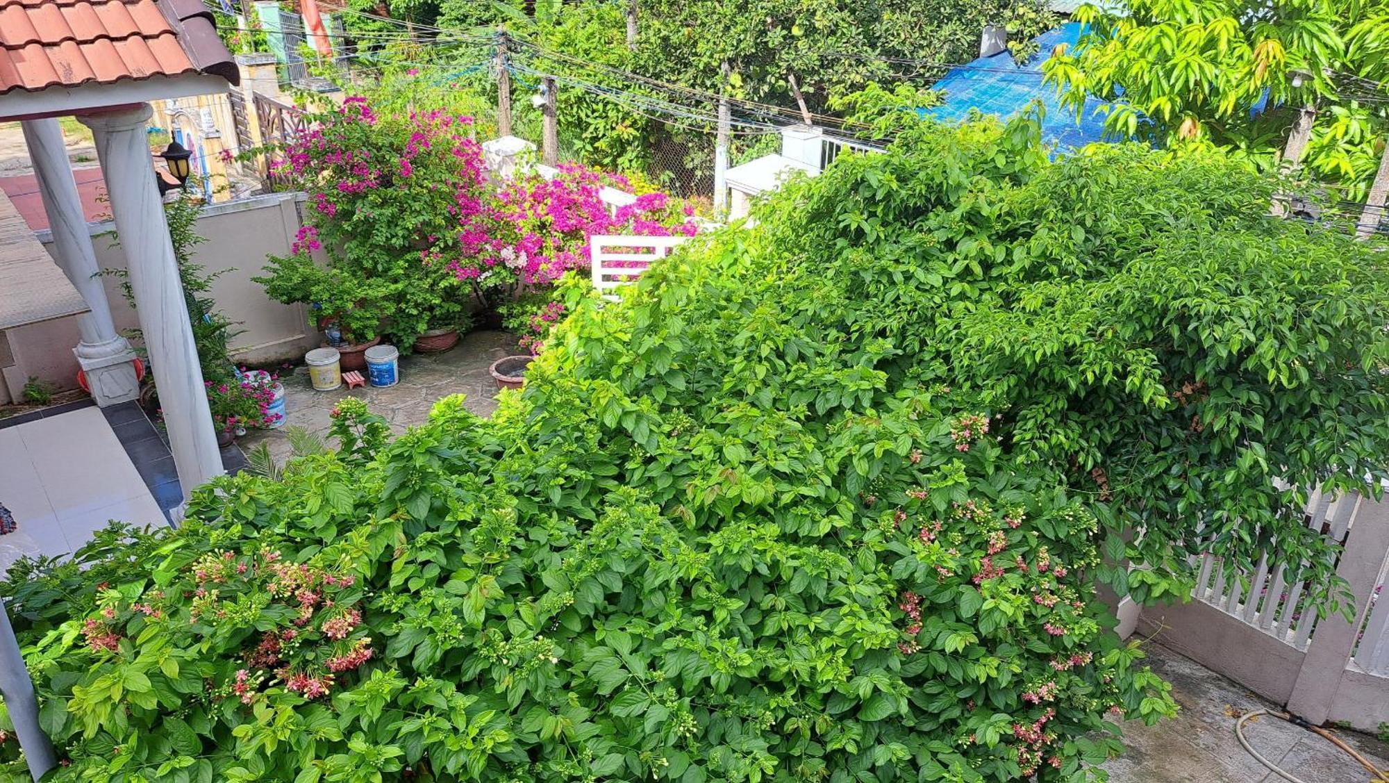 Pink House Homestay Hoi An Exteriér fotografie