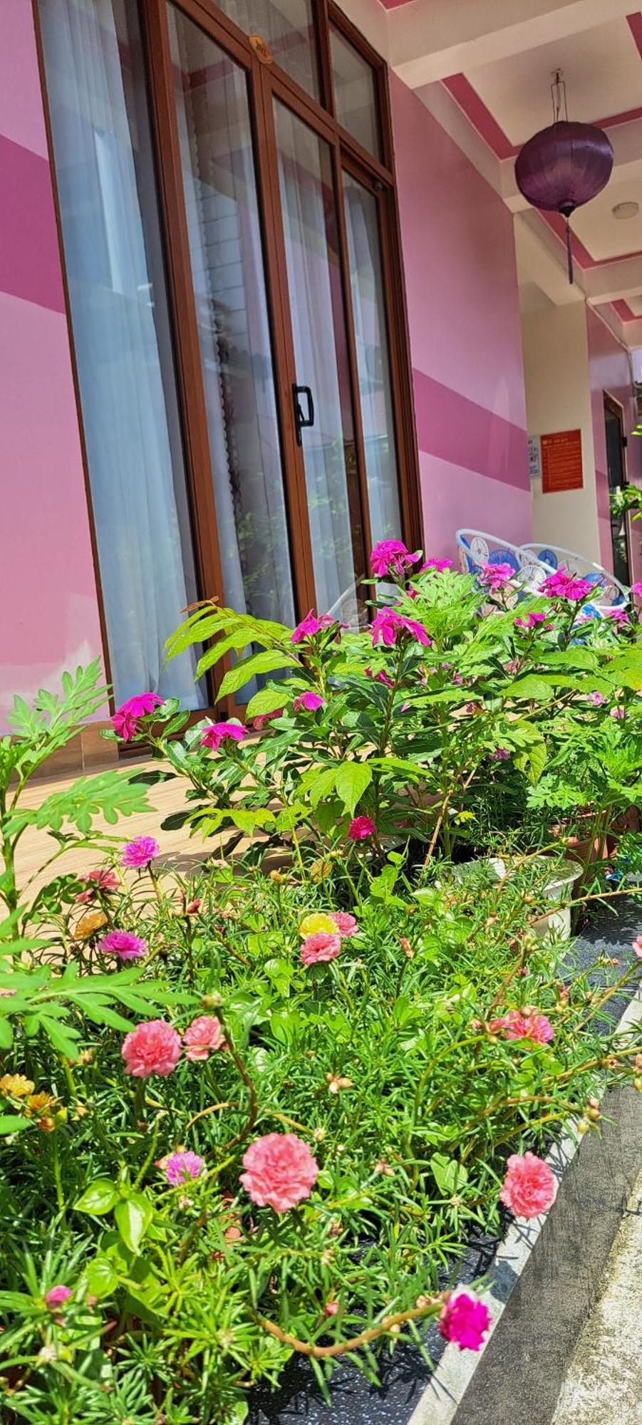Pink House Homestay Hoi An Exteriér fotografie