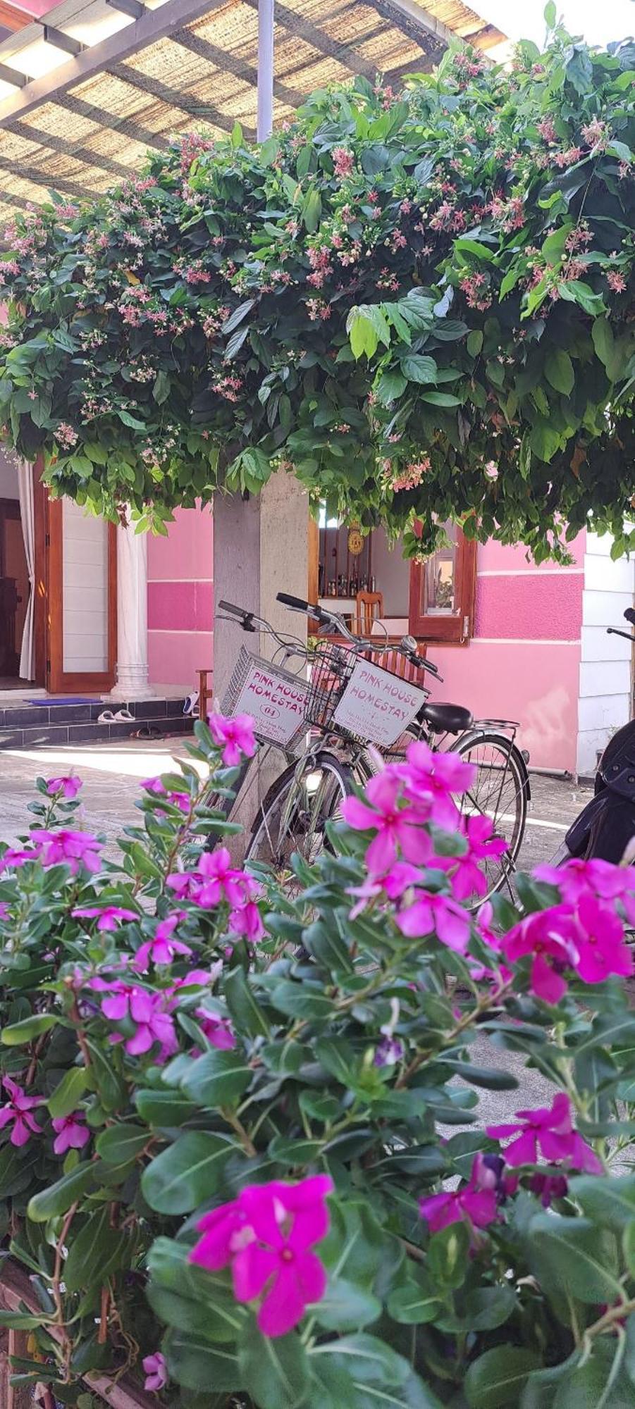 Pink House Homestay Hoi An Exteriér fotografie