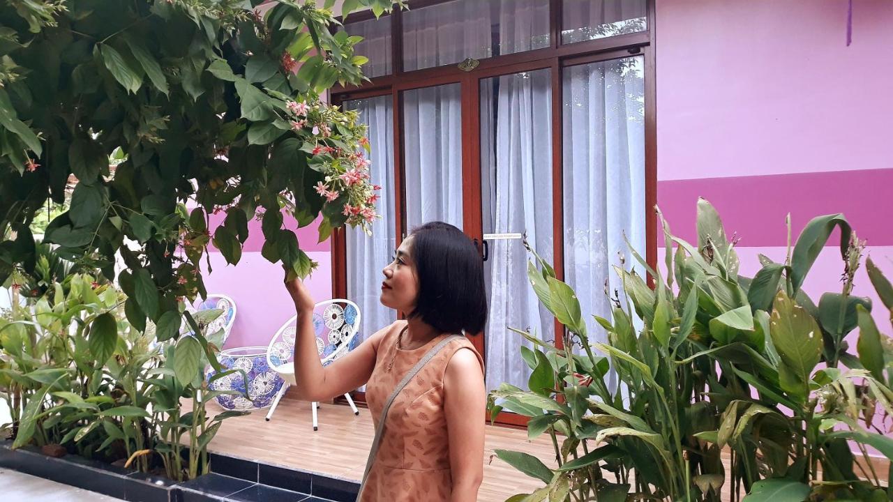 Pink House Homestay Hoi An Exteriér fotografie